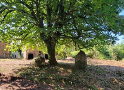 Former Manor House and Cottages To Renovate