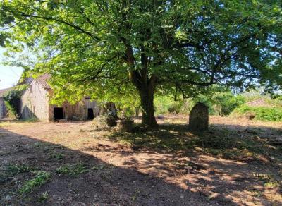 Former Manor House and Cottages To Renovate