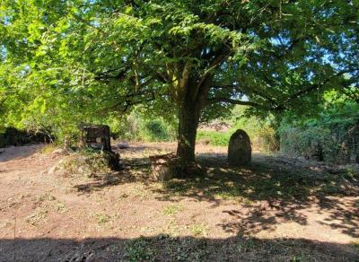 Former Manor House and Cottages To Renovate