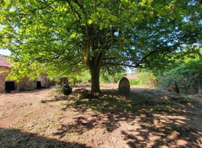 Former Manor House and Cottages To Renovate