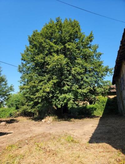 Former Manor House and Cottages To Renovate