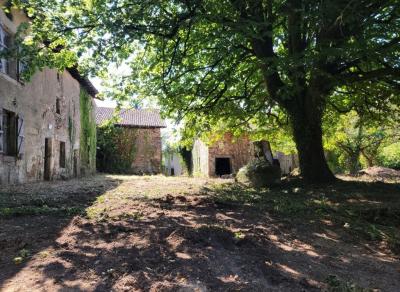 Former Manor House and Cottages To Renovate