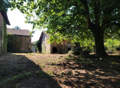 Former Manor House and Cottages To Renovate