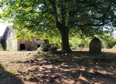 Former Manor House and Cottages To Renovate