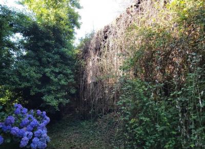 Former Manor House and Cottages To Renovate