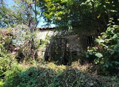 Former Manor House and Cottages To Renovate