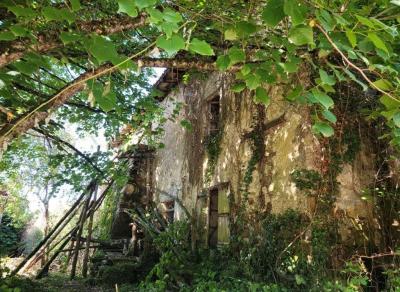 Former Manor House and Cottages To Renovate