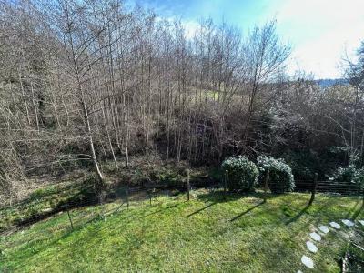 Beautiful House, Independent Apartment And Spa