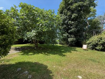 Beautiful House With Charming Garden