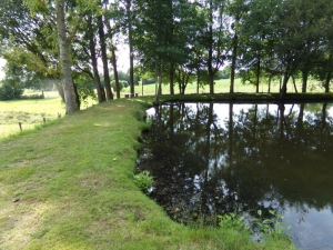 Main House with Guest Gite and Lake