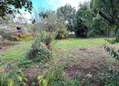 House With Lovely Garden And Many Outbuildings