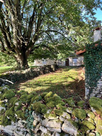 House And Barn To Renovate in Large Garden