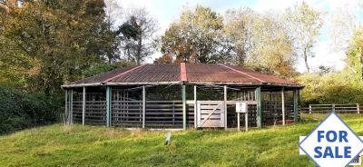 Detached Country House with Equestrian Facilities