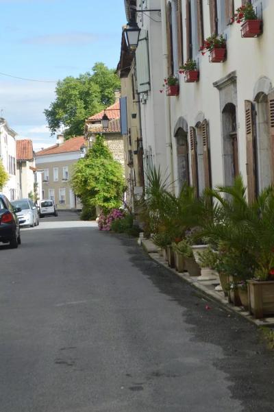 Lovely House in a Charming Floral Town