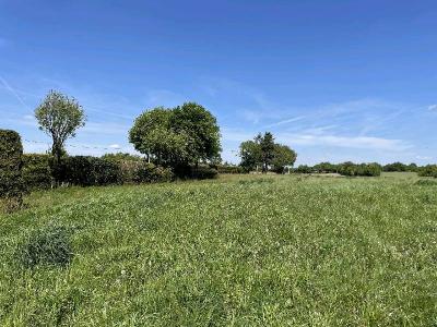 Detached House with Outbuildings, Ideal Equestrian Land