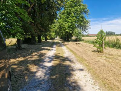 Chateau Plus a House, Outbuildings in 6 Hectares