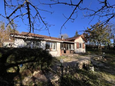 Two Houses in One Hectare of Countryside