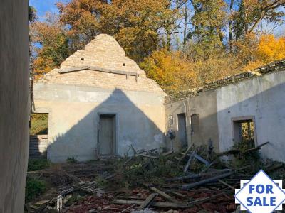 Ruin to Renovate, Great Blank Canvas Project
