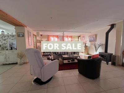 Charming Village House with Workshop