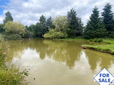 Woodland and Fishing Lake on 1.6 Hectares of Land