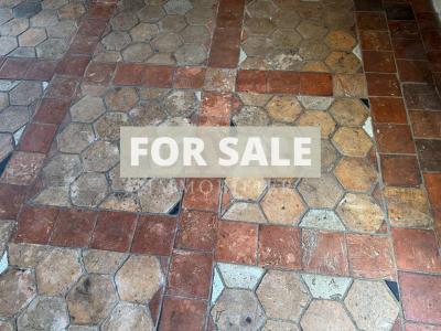 Detached House with Garden in Lovely Village