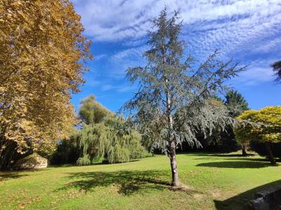 Former Water Mill, Parkland Gardens, Swimming Pool