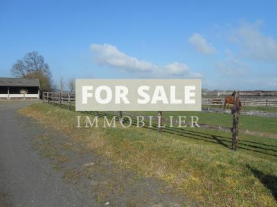 Equestrian Facilities with Stables and Open Views
