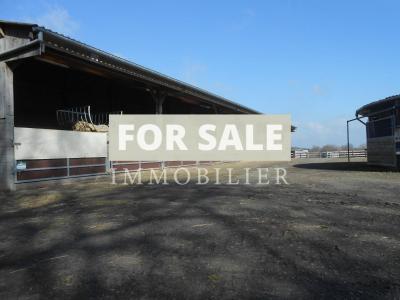 Equestrian Facilities with Stables and Open Views