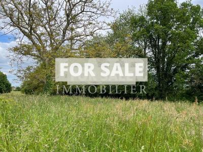 Country House with Outbuildings