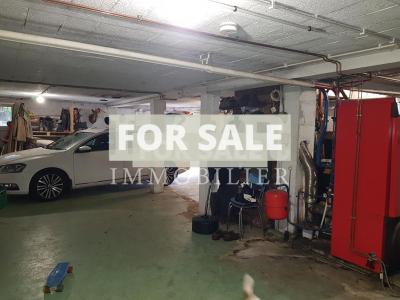 Main House and Guest Cottage, Gite