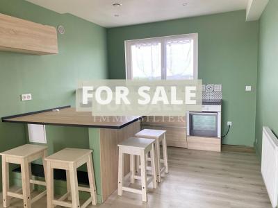 Appartement Renove De 80 M2 A Alencon