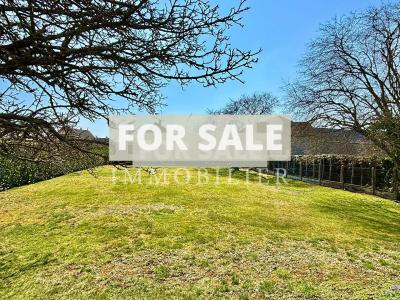 Architect Designed Detached House and Garden