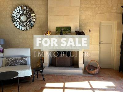 Small Manor House with Garden