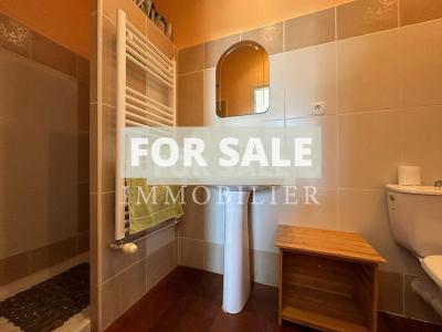 Small Manor House with Garden