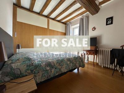 Small Manor House with Garden