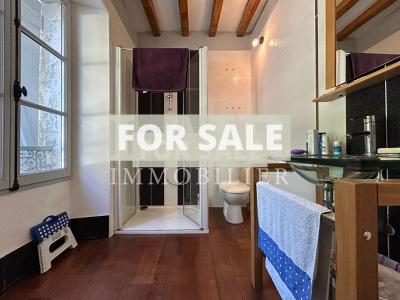 Small Manor House with Garden