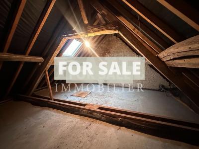 Small Manor House with Garden