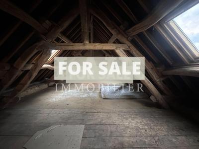 Small Manor House with Garden