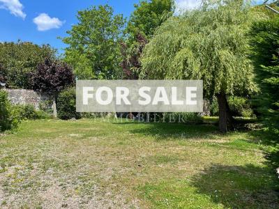 Charming Village House with Garden