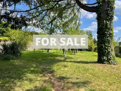 Charming Village House with Garden