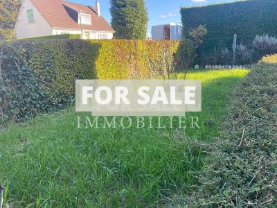 Detached House with Garden