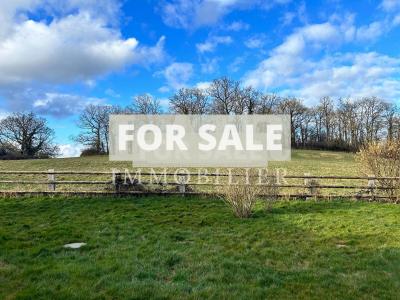 Detached Country House with Open Views