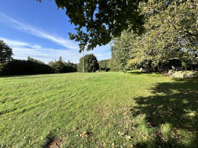 House And Barn To Renovate in Large Garden