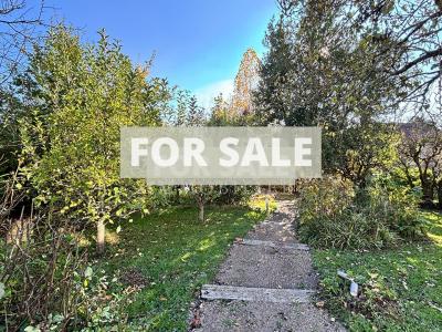 Traditional House with Garden