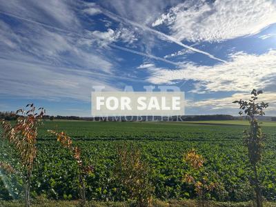 Charming Longere Style House with Countryside Views