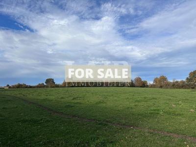 Charming Longere Style House with Countryside Views