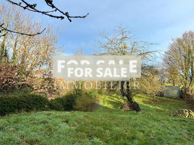 Renovated Barn in the Countryside