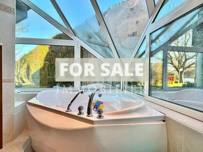 Contemporary Detached House with Swimming Pool