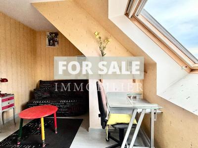 Detached House with Garden