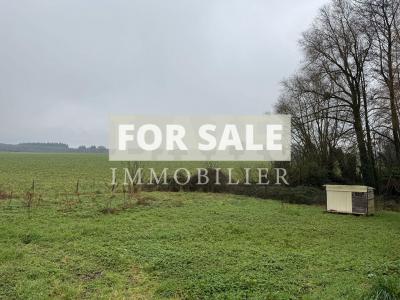 Detached Country House with Open Views